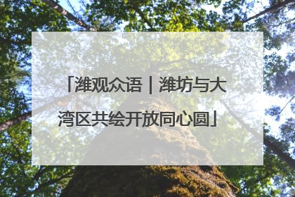 潍观众语｜潍坊与大湾区共绘开放同心圆