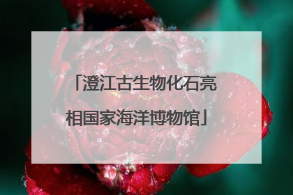 澄江古生物化石亮相国家海洋博物馆