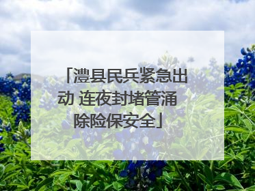澧县民兵紧急出动 连夜封堵管涌除险保安全