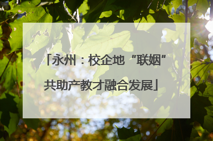 永州：校企地“联姻” 共助产教才融合发展