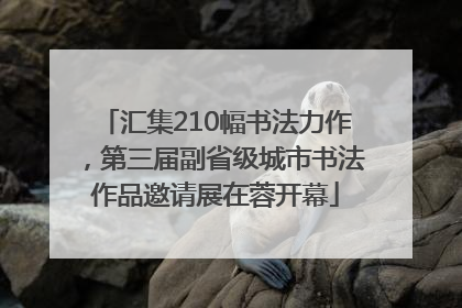 汇集210幅书法力作，第三届副省级城市书法作品邀请展在蓉开幕