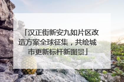 汉正街新安九如片区改造方案全球征集，共绘城市更新标杆新图景