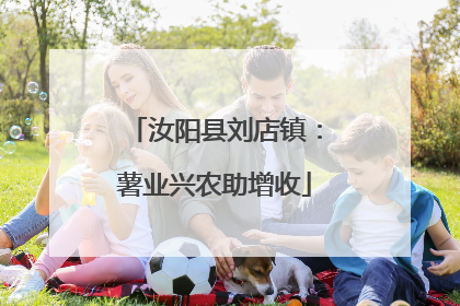 汝阳县刘店镇：薯业兴农助增收