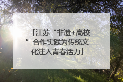 江苏“非遗+高校”合作实践为传统文化注入青春活力