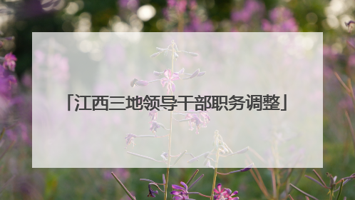 江西三地领导干部职务调整