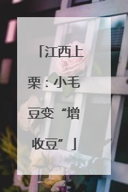 江西上栗：小毛豆变“增收豆”