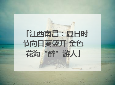 江西南昌：夏日时节向日葵盛开 金色花海“醉”游人