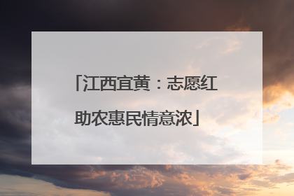 江西宜黄：志愿红助农惠民情意浓