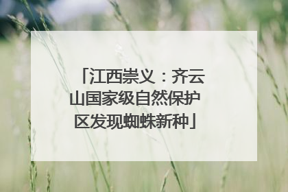江西崇义：齐云山国家级自然保护区发现蜘蛛新种