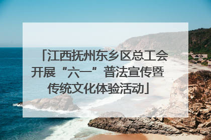 江西抚州东乡区总工会开展“六一”普法宣传暨传统文化体验活动