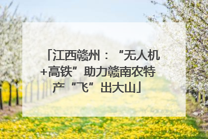 江西赣州：“无人机+高铁”助力赣南农特产“飞”出大山
