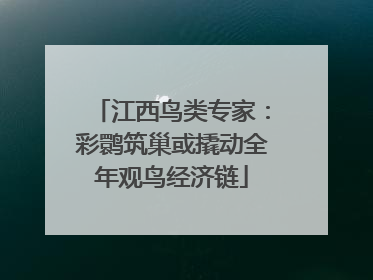 江西鸟类专家：彩鹮筑巢或撬动全年观鸟经济链