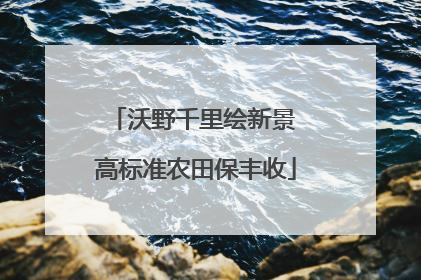 沃野千里绘新景 高标准农田保丰收