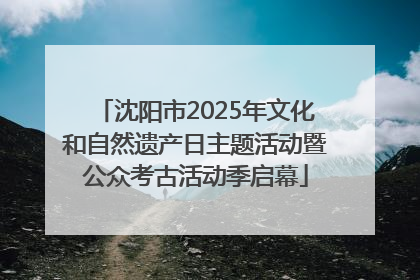 沈阳市2025年文化和自然遗产日主题活动暨公众考古活动季启幕