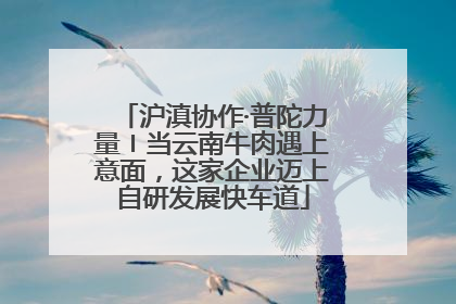 沪滇协作·普陀力量〡当云南牛肉遇上意面，这家企业迈上自研发展快车道
