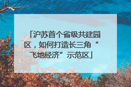 沪苏首个省级共建园区，如何打造长三角“飞地经济”示范区
