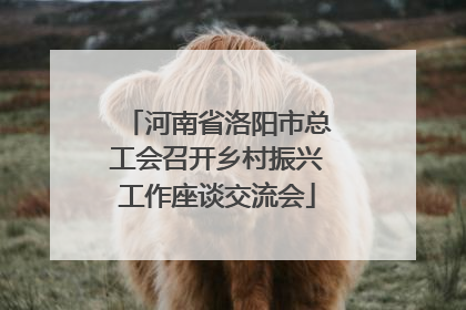 河南省洛阳市总工会召开乡村振兴工作座谈交流会