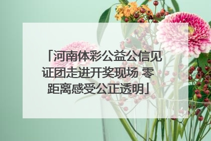 河南体彩公益公信见证团走进开奖现场 零距离感受公正透明