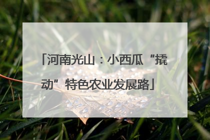 河南光山：小西瓜“撬动”特色农业发展路