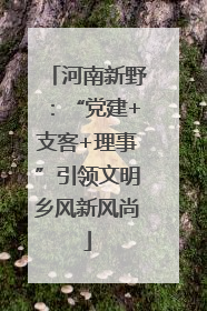 河南新野：“党建+支客+理事”引领文明乡风新风尚