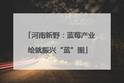 河南新野：蓝莓产业绘就振兴“蓝”图