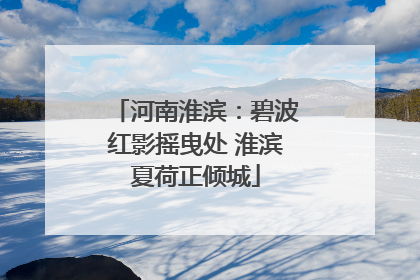 河南淮滨：碧波红影摇曳处 淮滨夏荷正倾城