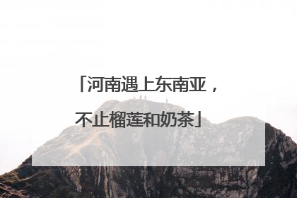 河南遇上东南亚，不止榴莲和奶茶