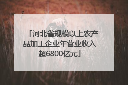 河北省规模以上农产品加工企业年营业收入超6800亿元