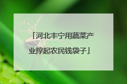 河北丰宁用蔬菜产业撑起农民钱袋子