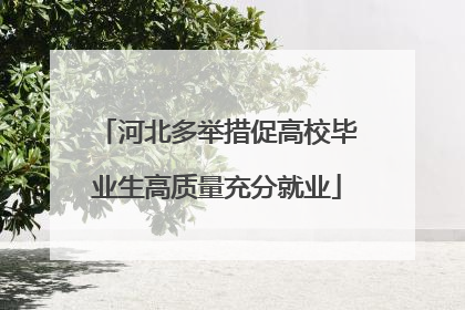 河北多举措促高校毕业生高质量充分就业