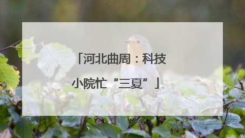 河北曲周：科技小院忙“三夏”