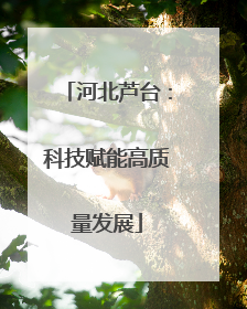 河北芦台：科技赋能高质量发展