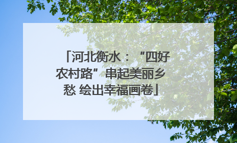 河北衡水：“四好农村路”串起美丽乡愁 绘出幸福画卷