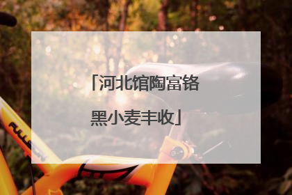 河北馆陶富铬黑小麦丰收