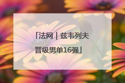 法网｜兹韦列夫晋级男单16强