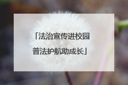 法治宣传进校园 普法护航助成长