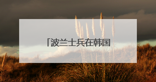波兰士兵在韩国接受“天舞”火箭炮系统使用训练