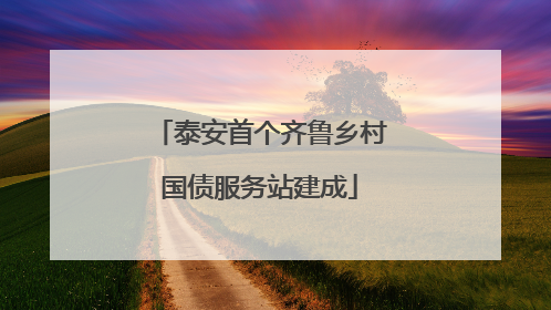泰安首个齐鲁乡村国债服务站建成