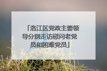 洛江区党政主要领导分别走访慰问老党员和困难党员