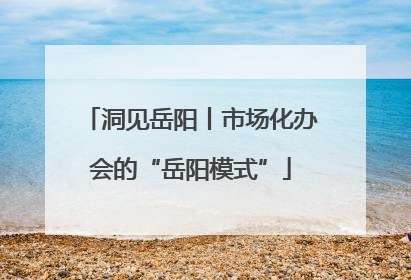 洞见岳阳丨市场化办会的“岳阳模式”