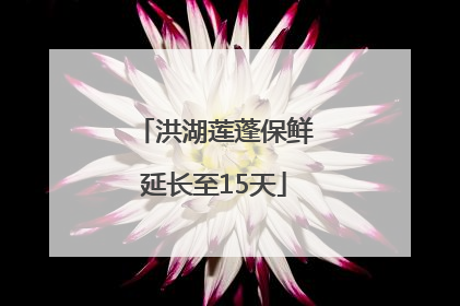 洪湖莲蓬保鲜延长至15天