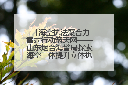 海空执法聚合力 雷霆行动筑天网——山东烟台海警局探索海空一体提升立体执法效能纪实