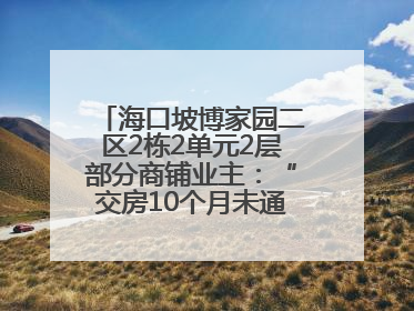 海口坡博家园二区2栋2单元2层部分商铺业主：“交房10个月未通自来水”