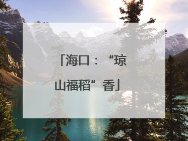海口：“琼山福稻”香