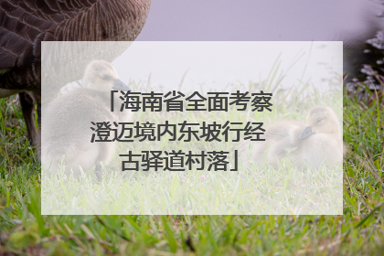 海南省全面考察澄迈境内东坡行经古驿道村落