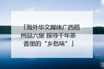海外华文媒体广西梧州品六堡 探寻千年茶香里的“乡愁味”