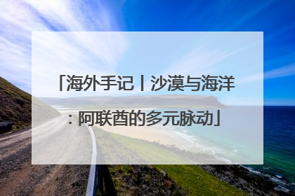 海外手记丨沙漠与海洋：阿联酋的多元脉动