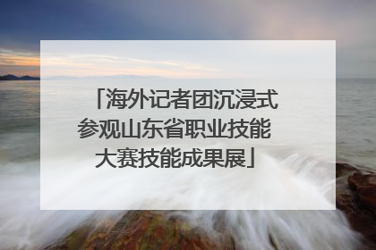 海外记者团沉浸式参观山东省职业技能大赛技能成果展