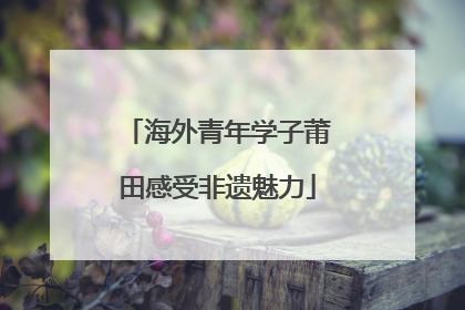 海外青年学子莆田感受非遗魅力