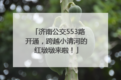 济南公交553路开通，跨越小清河的红墩墩来啦！